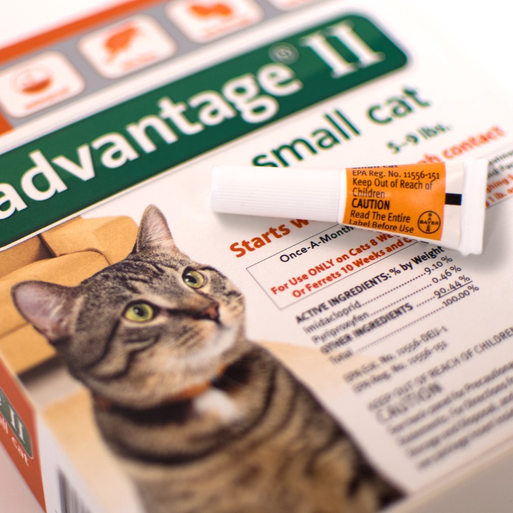 slide 3 of 3, advantage Bayer Advantage II Topical Flea Prevention and Treatment - Small Cats, 4 ct