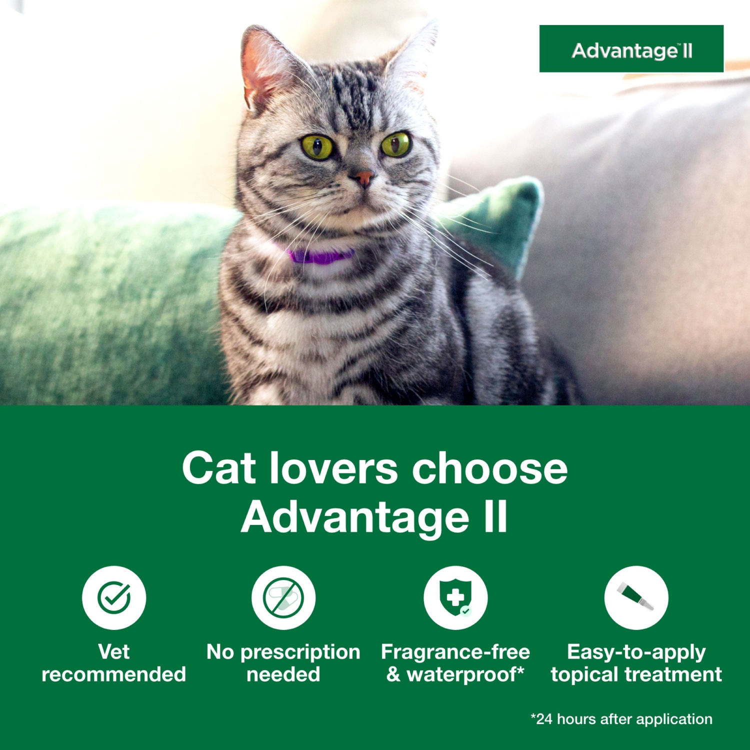 slide 4 of 7, advantage Bayer Advantage II Topical Flea Prevention and Treatment - Large Cats - 4pk, 4 ct