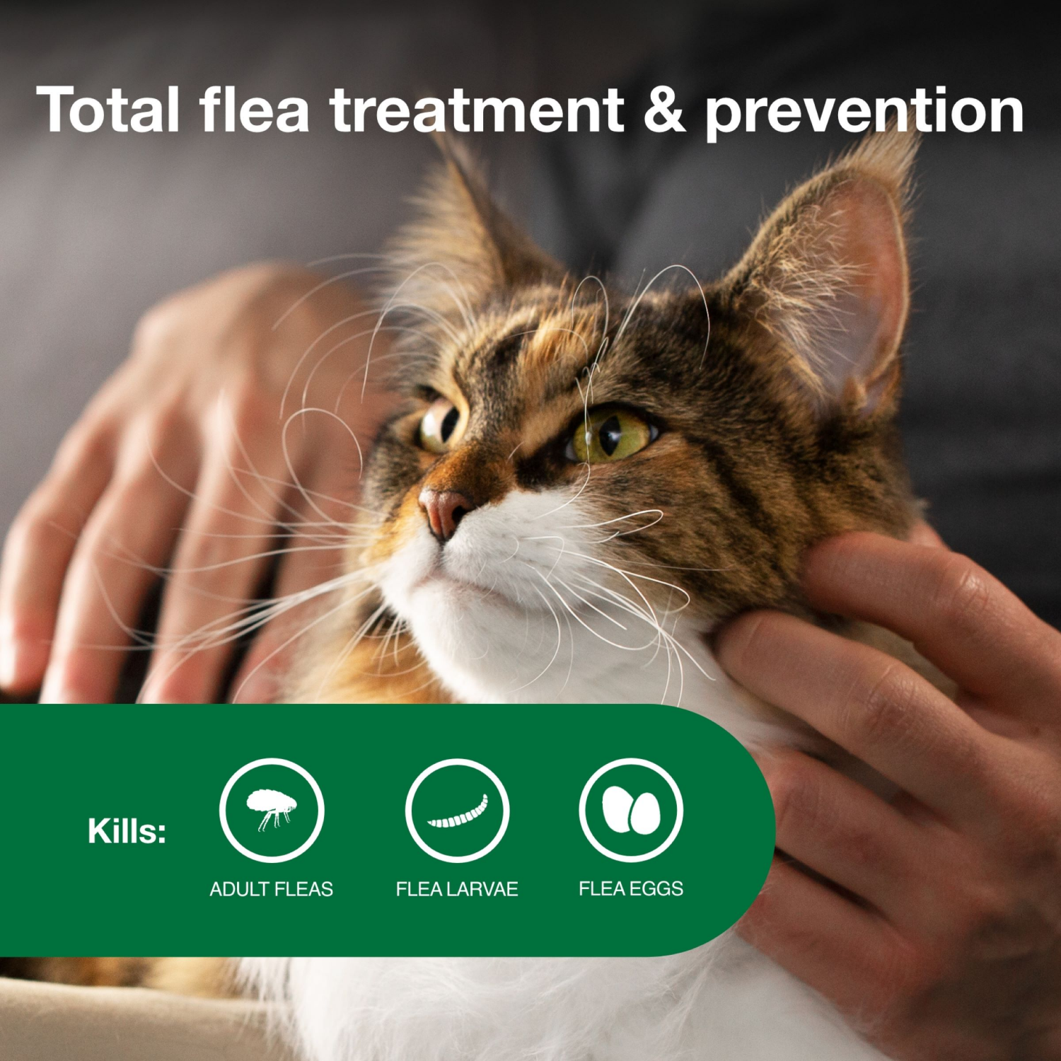 slide 5 of 7, advantage Bayer Advantage II Topical Flea Prevention and Treatment - Large Cats - 4pk, 4 ct
