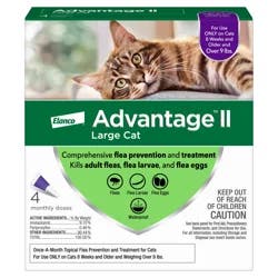 advantage Bayer Advantage II Topical Flea Prevention and Treatment - Large Cats - 4pk
