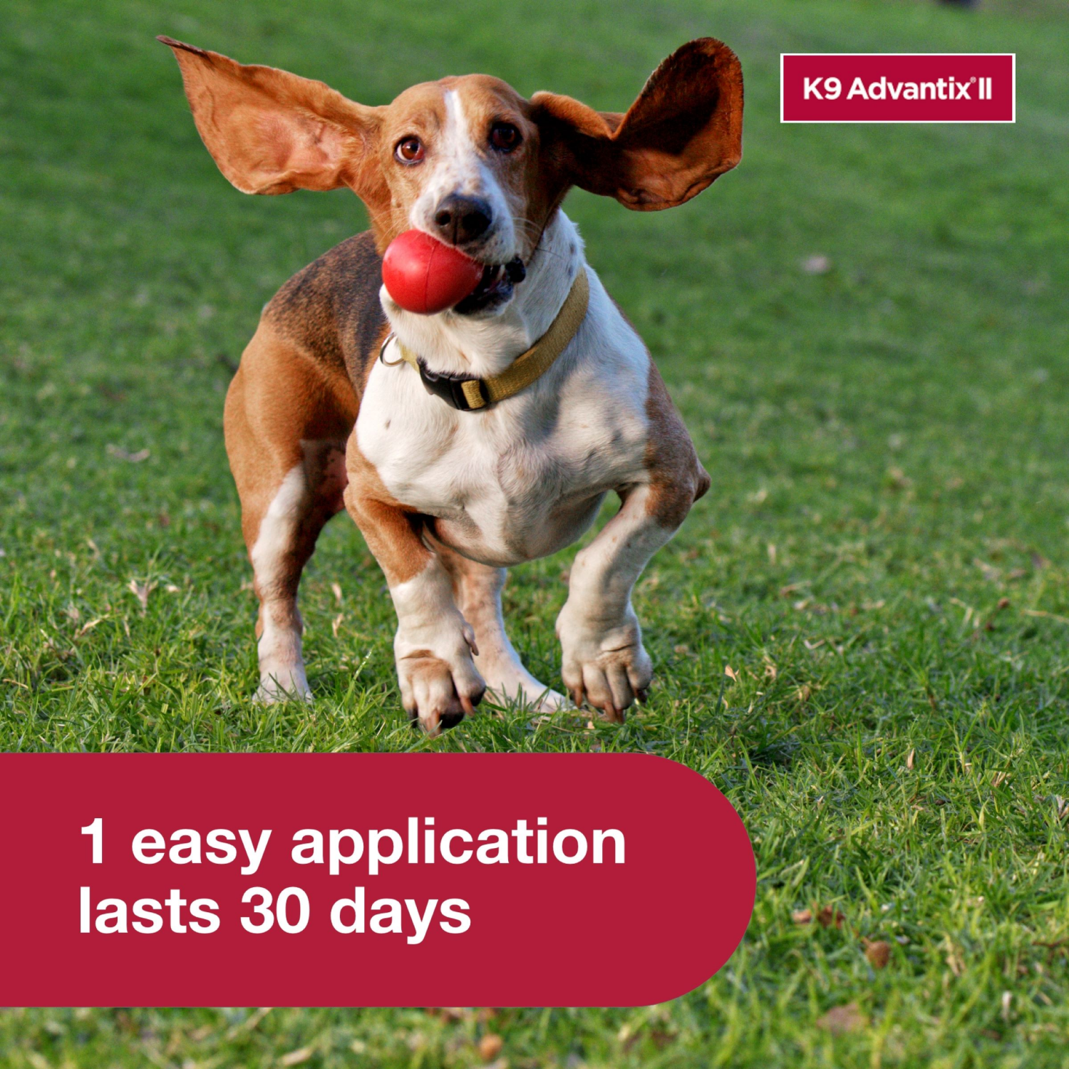 slide 3 of 8, K9 Advantix II Flea & Tick Treatment for Medium Dogs, 4-Pack, 4 ct