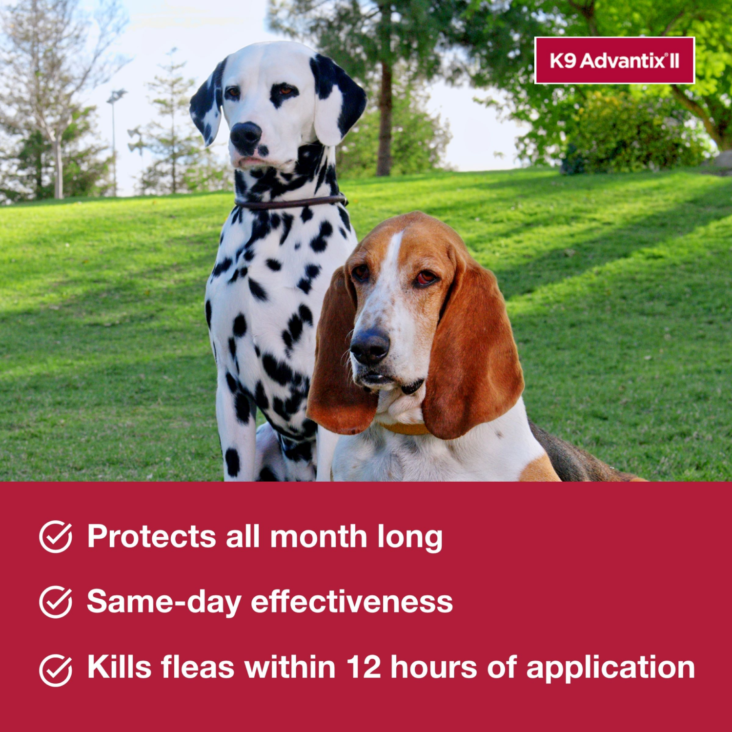 slide 5 of 8, K9 Advantix II Flea & Tick Treatment for Medium Dogs, 4-Pack, 4 ct