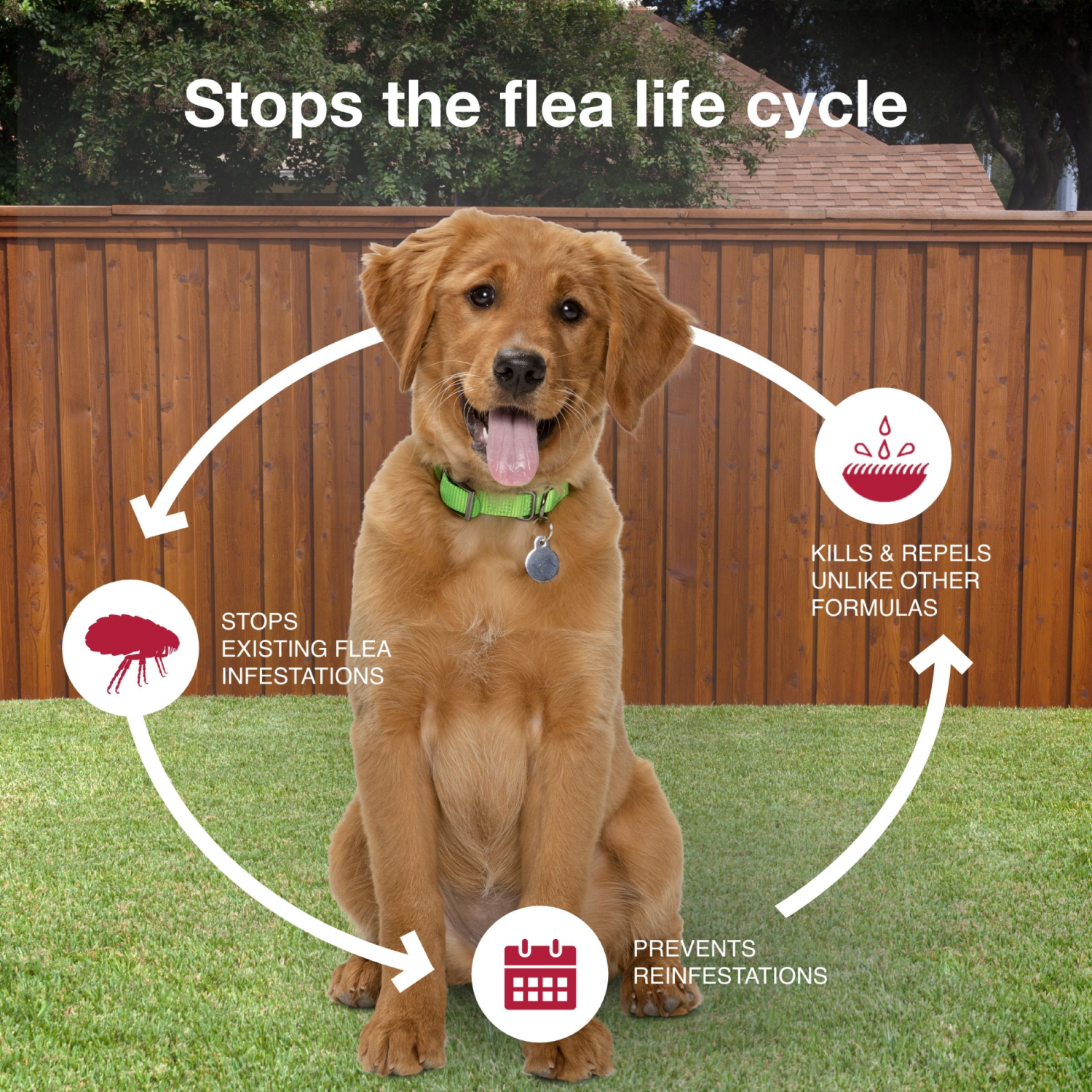 slide 6 of 8, K9 Advantix II Flea & Tick Treatment for Medium Dogs, 4-Pack, 4 ct