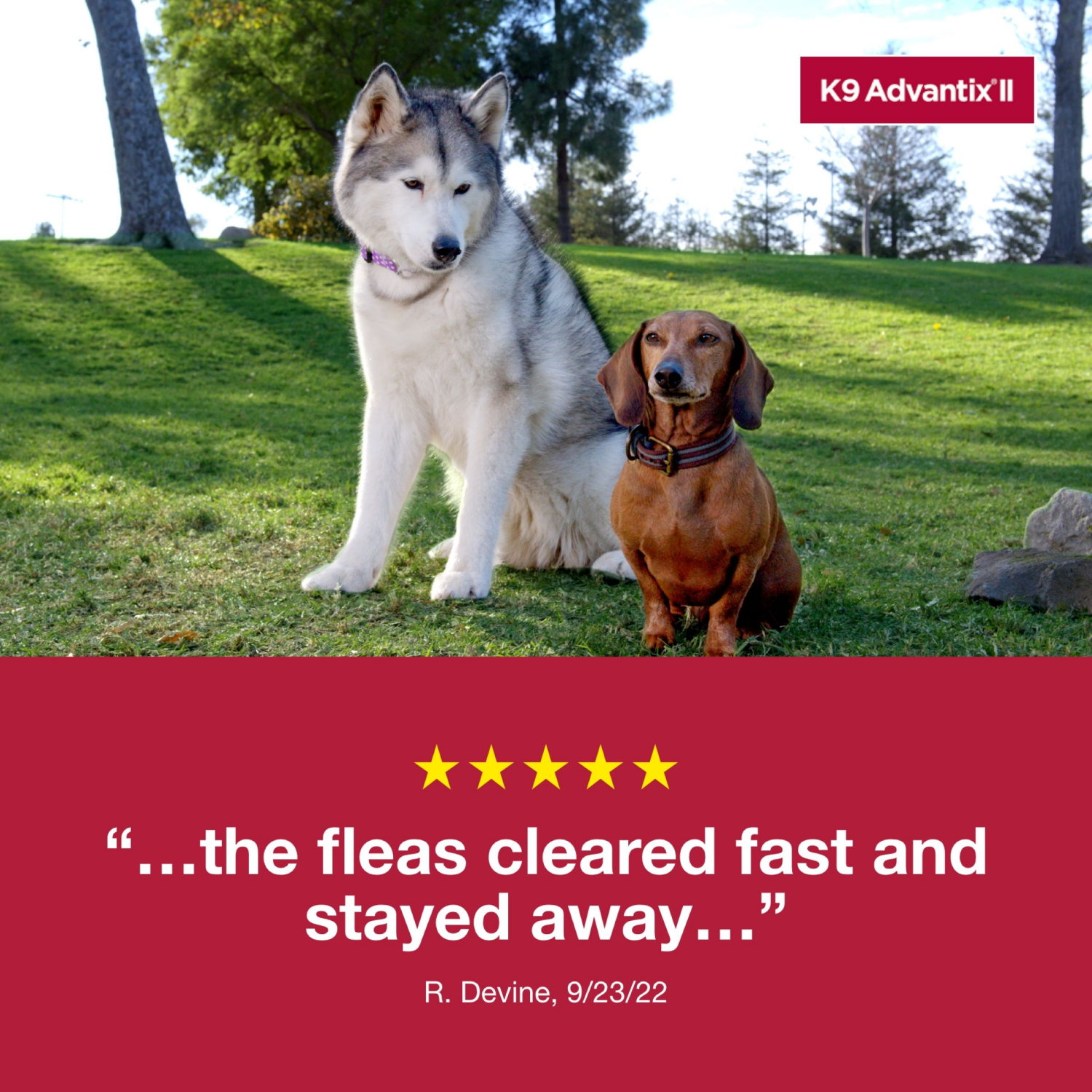 slide 7 of 8, K9 Advantix II Flea & Tick Treatment for Medium Dogs, 4-Pack, 4 ct