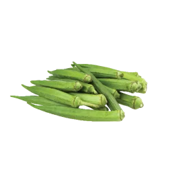 Fresh Okra