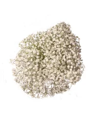 Mixed Seasonal Bouquet