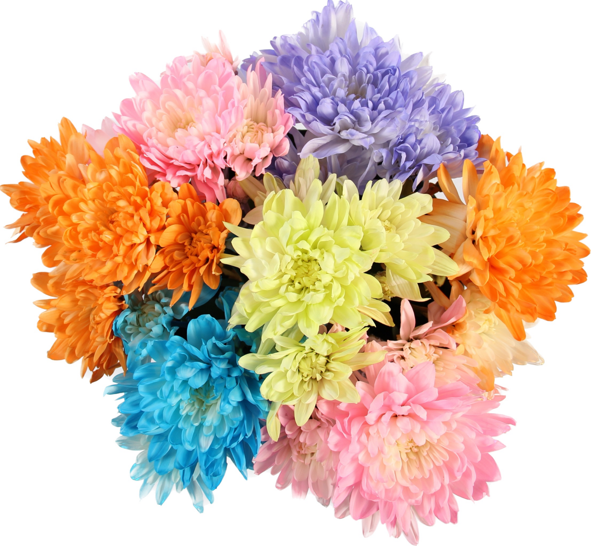 slide 1 of 1, Tinted Pompoms Bunch, 1 ct