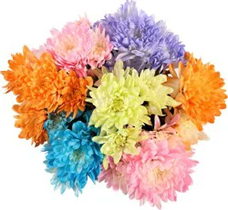 Tinted Pompoms, Bunch