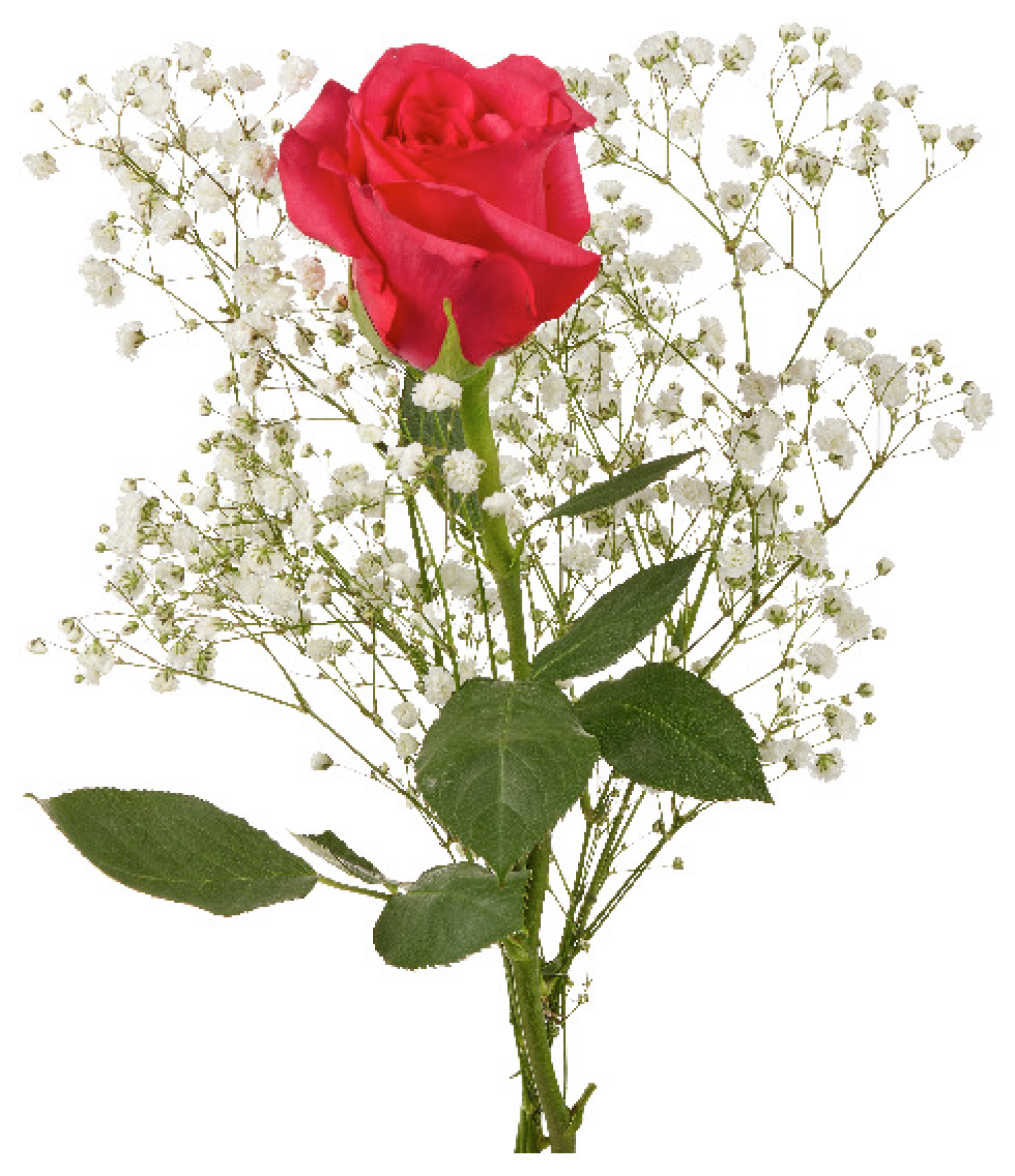 slide 2 of 5, Single Rose Bouquet, 1 ct