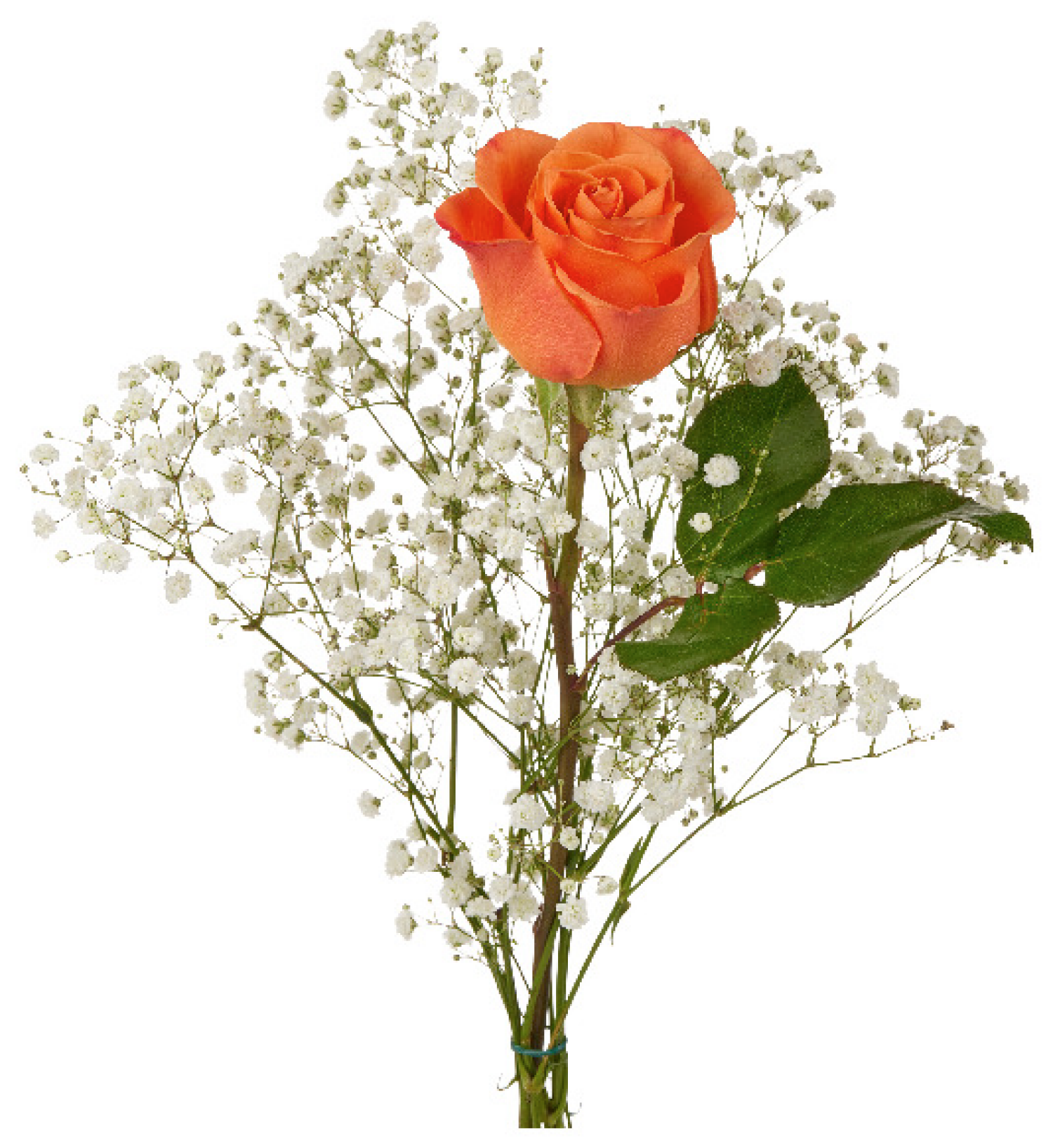 slide 3 of 5, Single Rose Bouquet, 1 ct