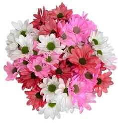 Valentine's Day Tinted Pompoms, Bunch