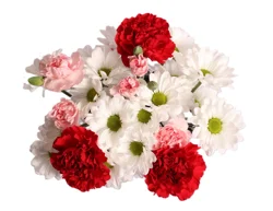 Holiday Mixed Bouquet