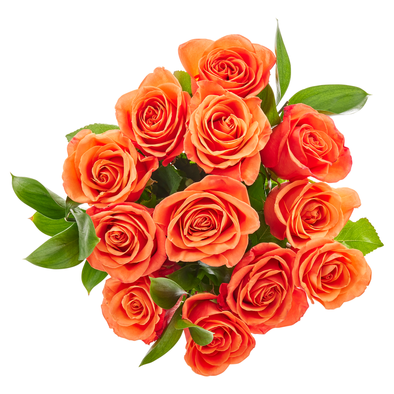 slide 3 of 5, Rose Bouquet, dozen, 1 doz