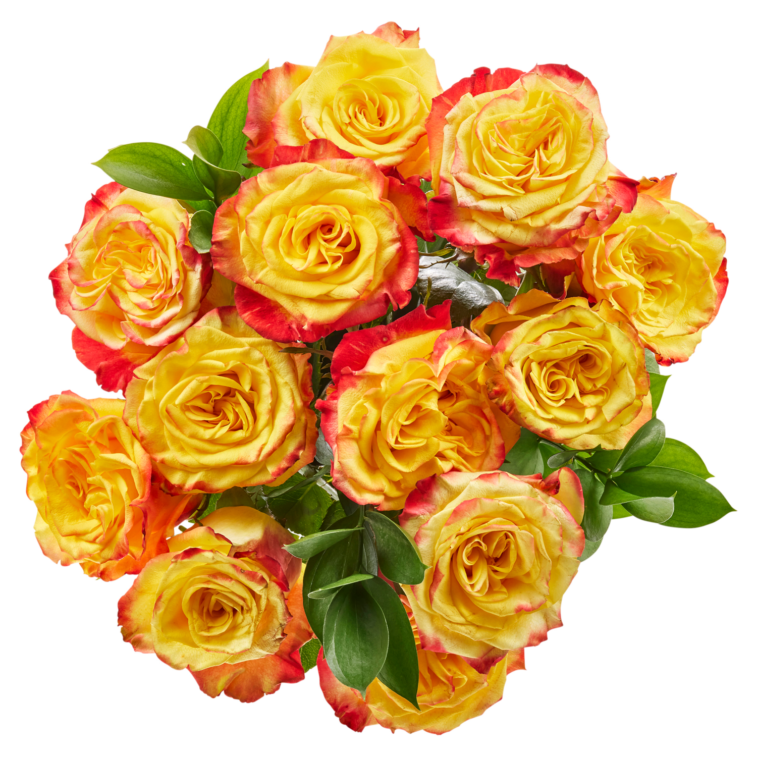 slide 5 of 5, Rose Bouquet, dozen, 1 doz