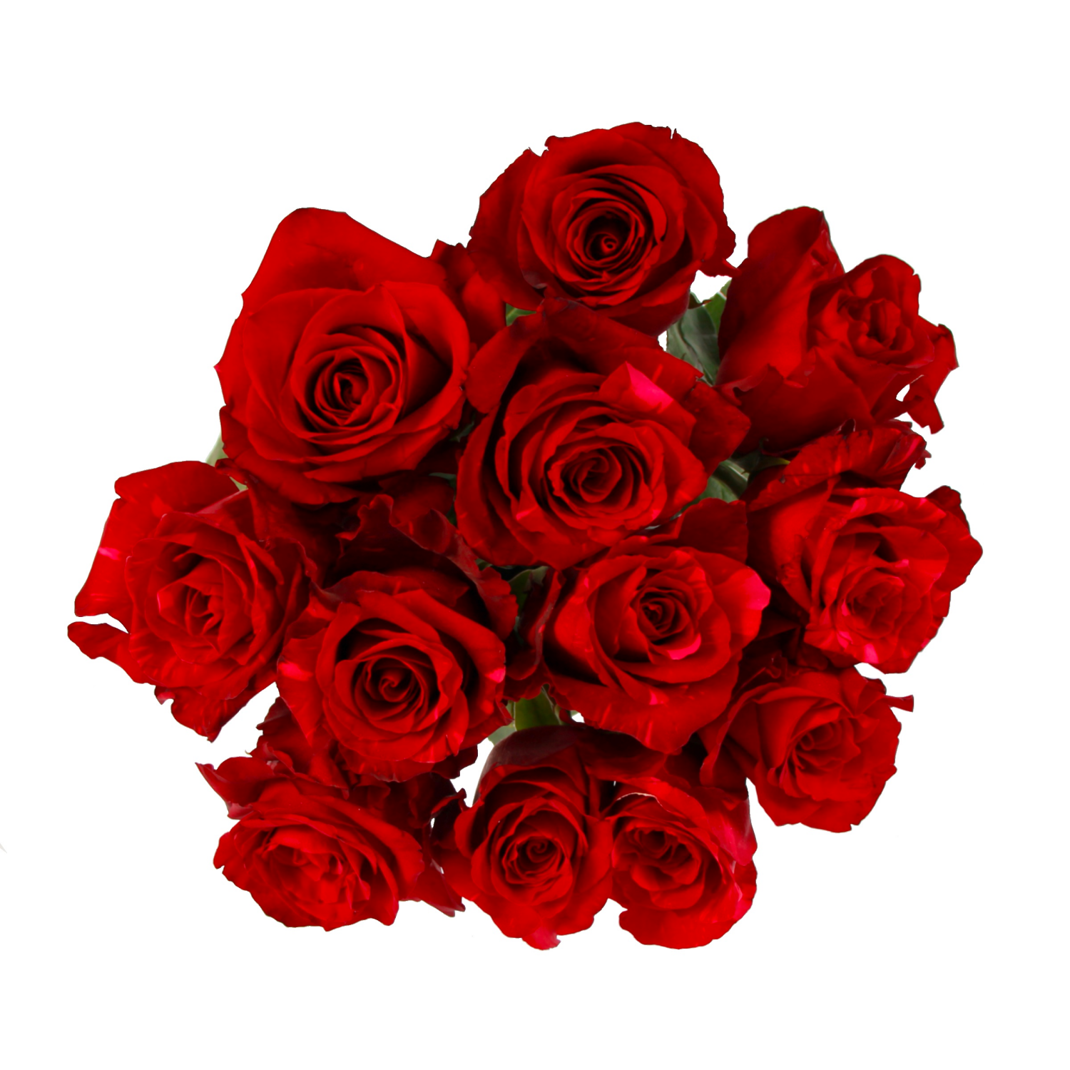 slide 1 of 5, Rose Bouquet, dozen, 1 doz