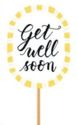 Get Well Soon Bouquet or Plant Pick