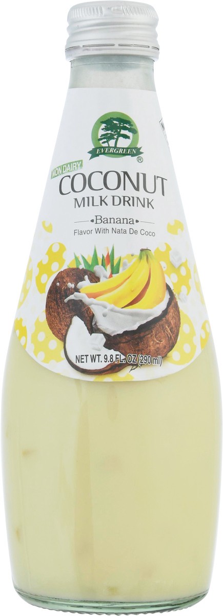 slide 6 of 14, Evergreen Coconut Milk Drink Banana - 9.8 fl oz, 9.8 fl oz