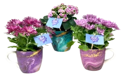 Garden Flowers Thank You Mug