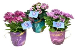 Garden Flowers Thank You Mug
