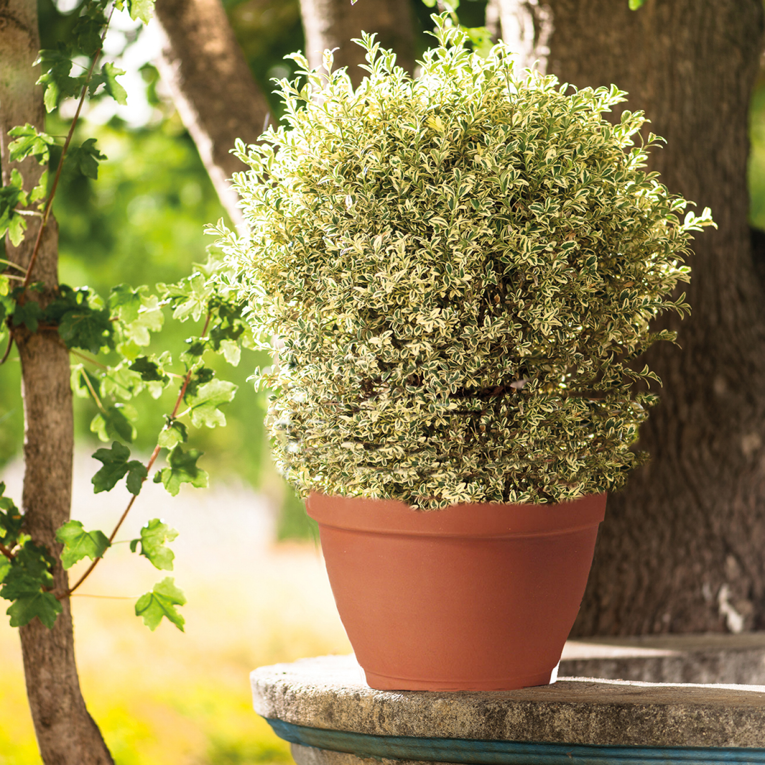 slide 2 of 2, Deroma 8.3" Garden Bell Pot Terracotta, 8.3 in