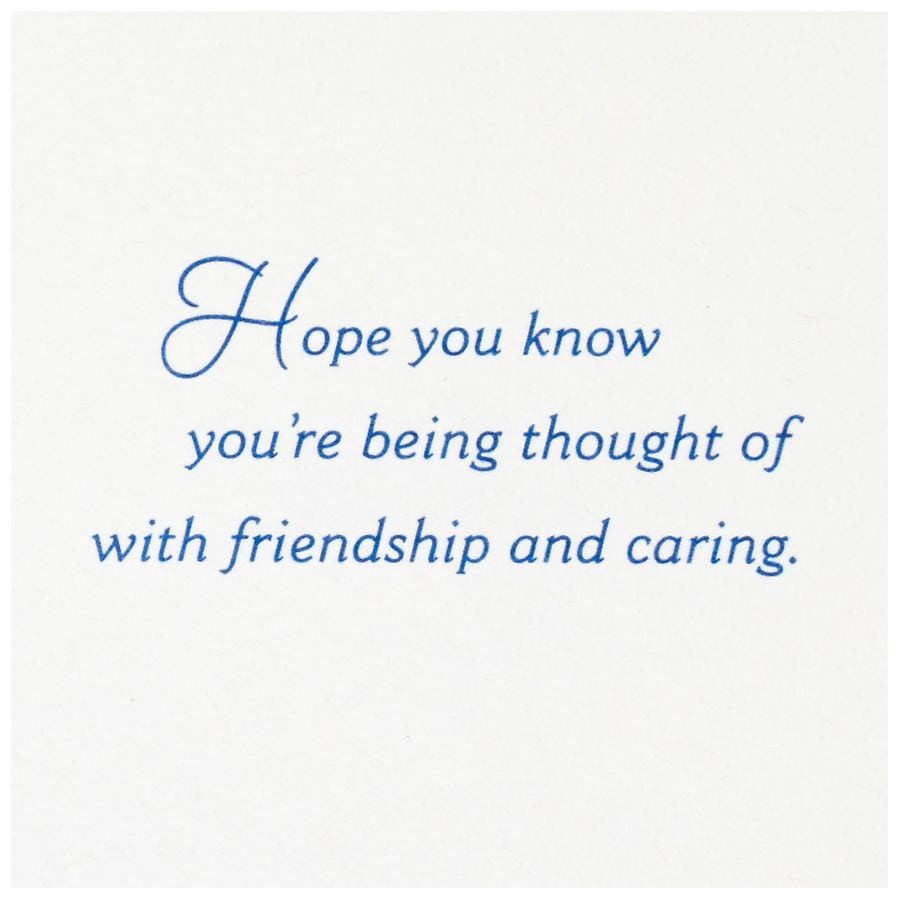 slide 3 of 5, Hallmark Sympathy Card (Thinking of You With Friendship and Caring) E80, 1 ct