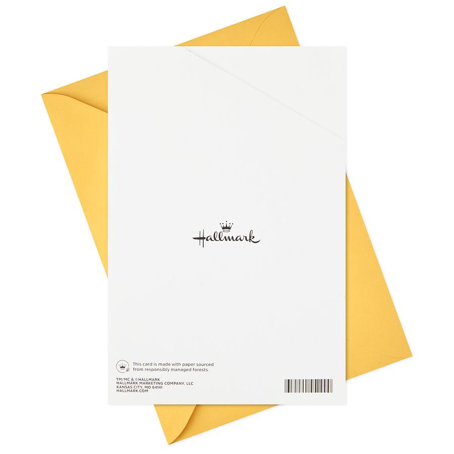 slide 2 of 5, Hallmark Funny Pop-Up Birthday Card (Dogs and Cats Round of "Appaws") E29, 1 ct