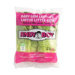 Baby Gem Lettuce
