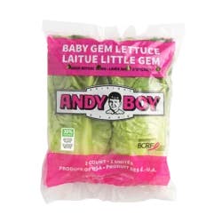 Baby Gem Lettuce