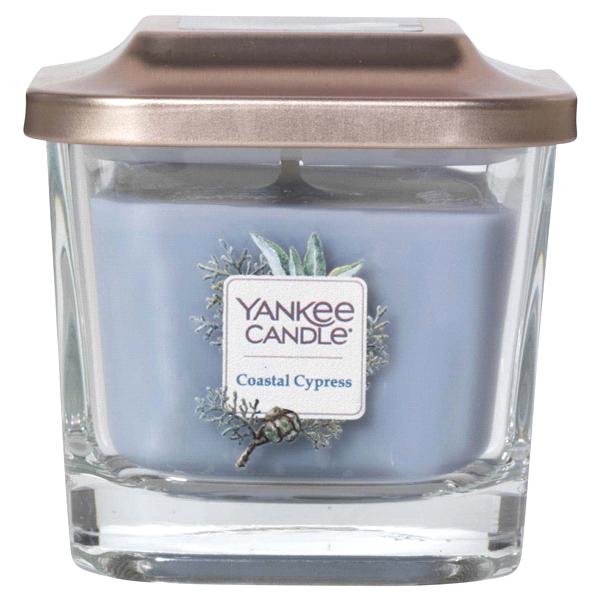 slide 1 of 1, Yankee Candle Elevation Small Jar Coastal Cypress, 3.4 oz