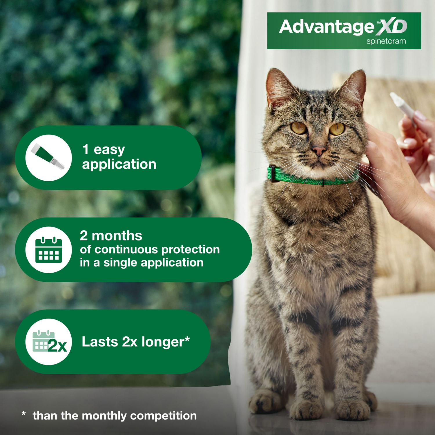 slide 8 of 8, Advantage XD Large Cat Flea Prevention & Treatment For Cats over 9lbs. 2-Topical Doses, 4-Months Coverage, 9 lb