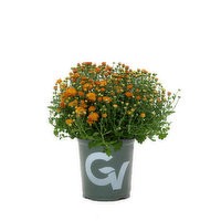 slide 1 of 1, Cub Fall Annual, 1 Each, 1 ct