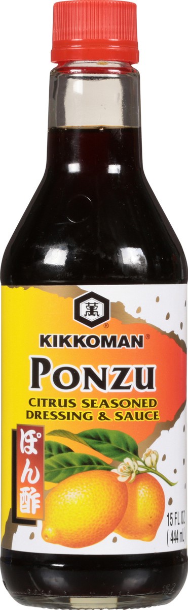 slide 6 of 7, Kikkoman Citrus Seasoned Dressing & Sauce 15 fl oz, 15 fl oz