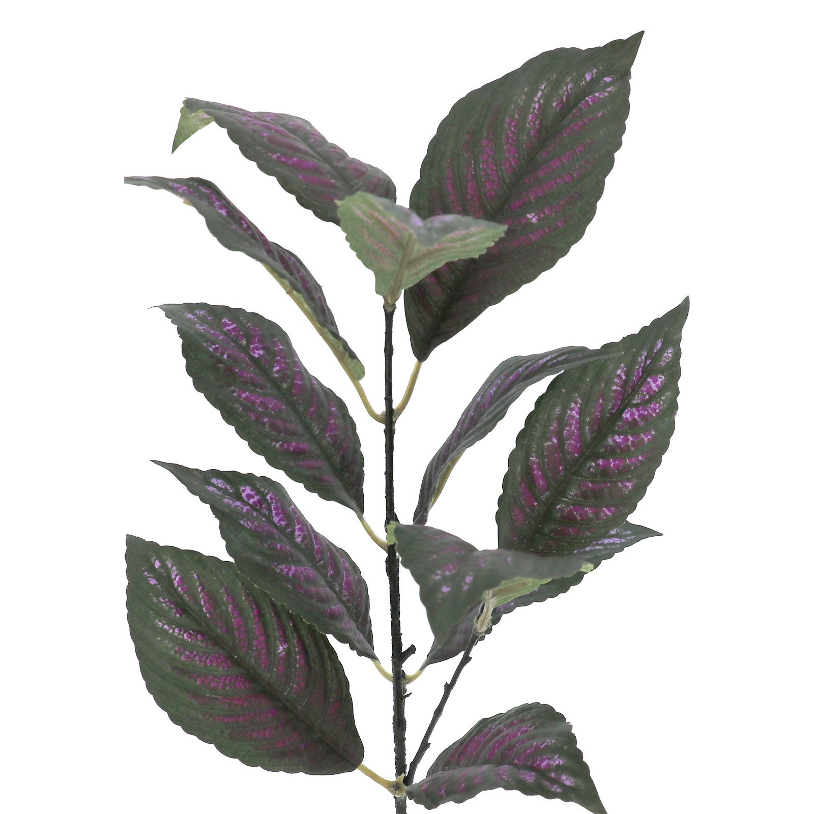 slide 2 of 2, 15" Perilepta Dyeriana Leaf Pick By Ashland, 15 in