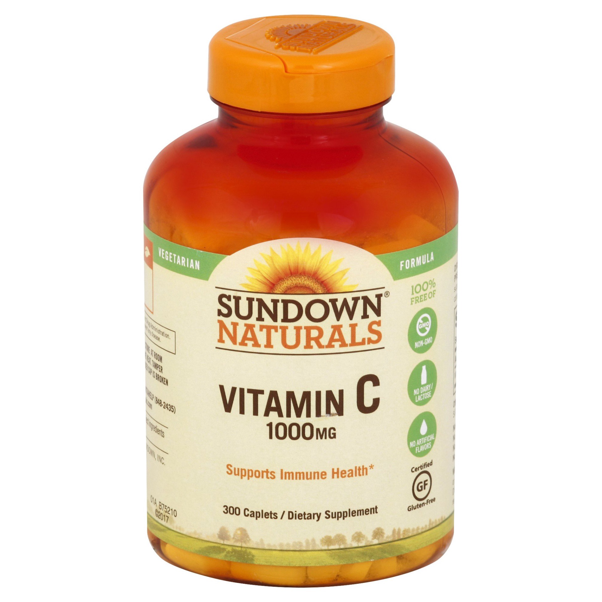 slide 1 of 1, Sundown Naturals Vitamin C, 300 ct; 1000 mg