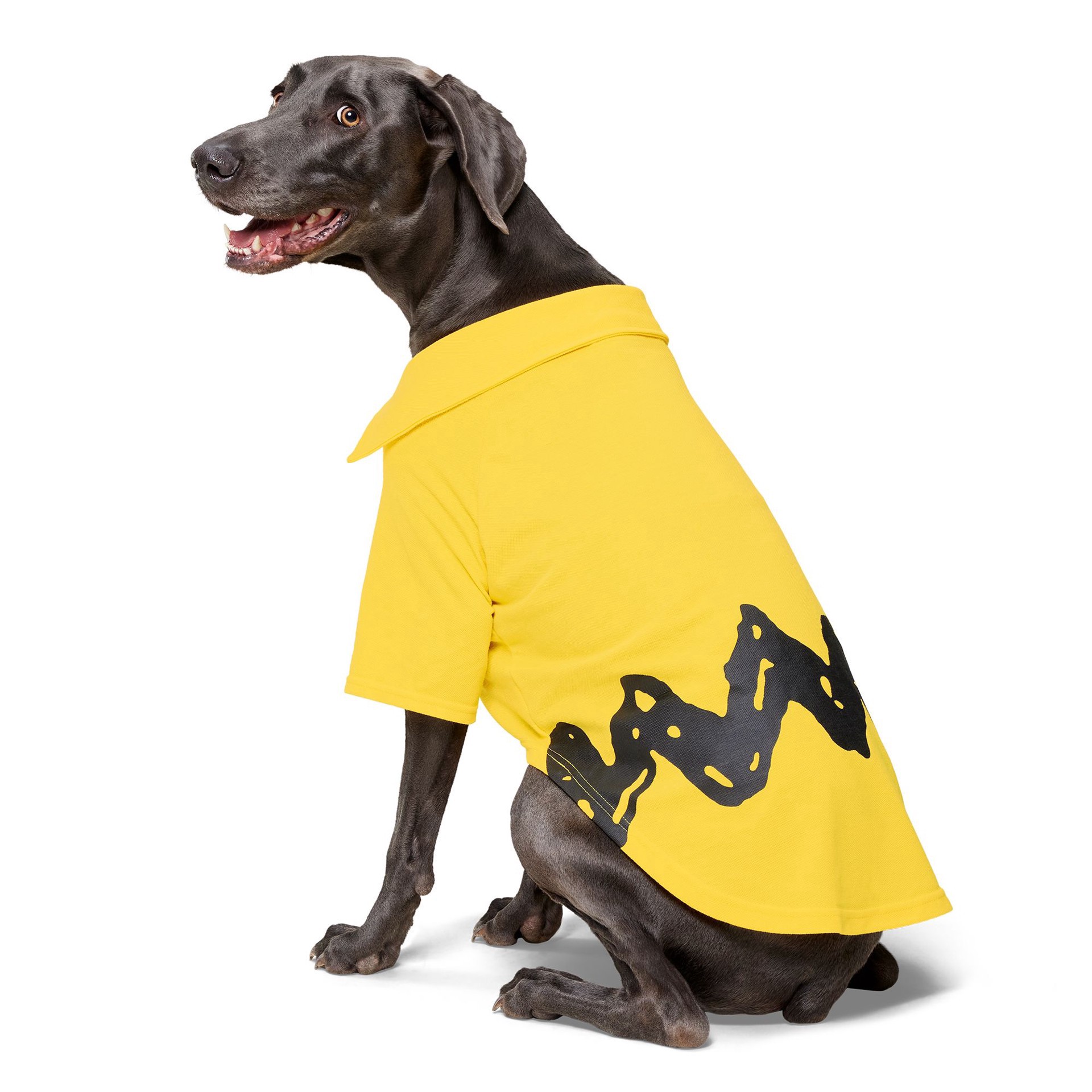 slide 1 of 1, Bark Box Bark Halloween Charlie Brown Dog Polo, LG