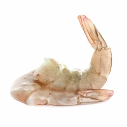 16/20 H/L Jumbo White Shrimp