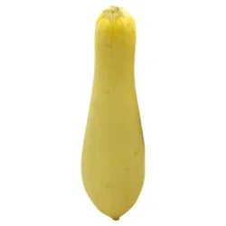 Organic Yellow Crookneck Squash