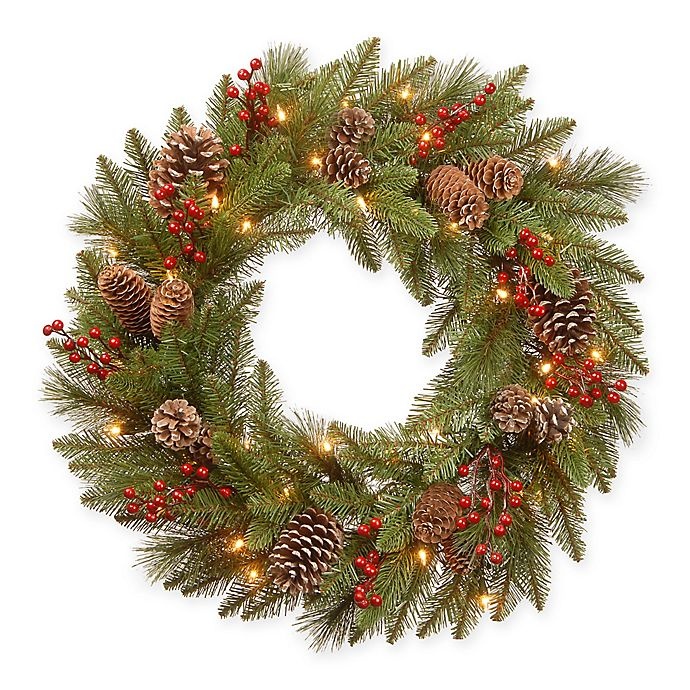 slide 1 of 1, National Tree Company Bristle Berry Wreath with Warm White Lights, 24 in