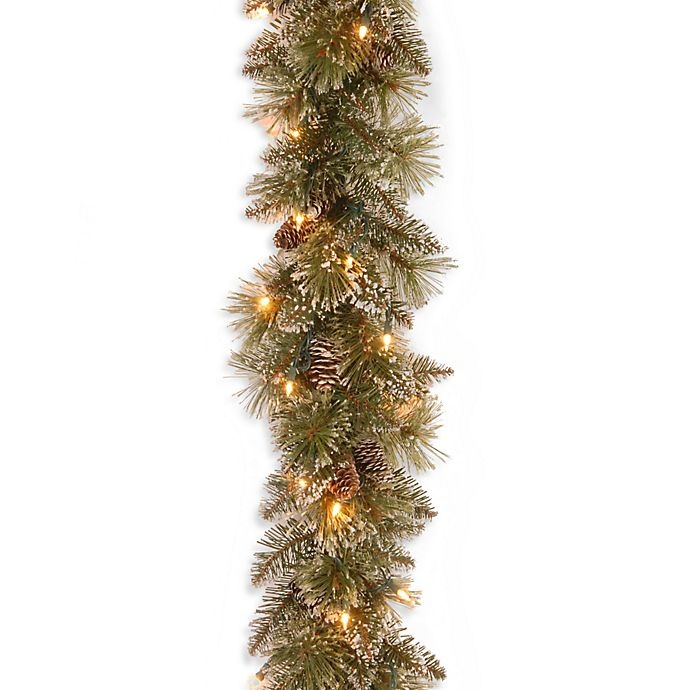 slide 1 of 3, National Tree Company Pre-Lit Glittery Bristle Pine Garland with Clear Lights, 9 ft