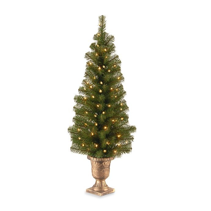 slide 1 of 1, National Tree Company Montclair Spruce Pre-Lit Entrance Tree with Clear Lights, 4 ft
