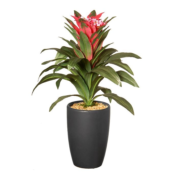 slide 1 of 1, National Tree Company Artificial Dracaena Plant - Pot, 13 in