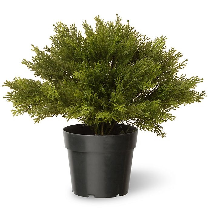 slide 1 of 1, National Tree Company National Tree Globe Juniper with Green Pot, 15 in