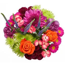DIERBERGS FLOWERS & GIFTS COLORFUL ESCAPE BOUQUET