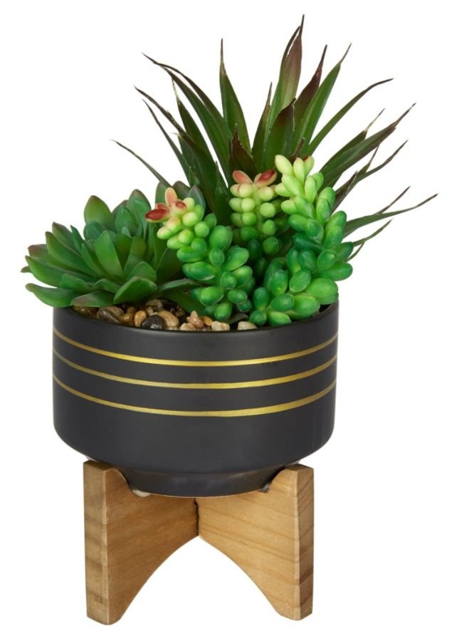 slide 2 of 3, Office Depot 4-1/2''H Rubber Artificial Mixed Succulent With Stand, 4-1/2'' X 4-1/2'', Assorted Colors, 1 ct