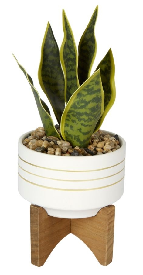 slide 3 of 3, Office Depot 4-1/2''H Rubber Artificial Mixed Succulent With Stand, 4-1/2'' X 4-1/2'', Assorted Colors, 1 ct
