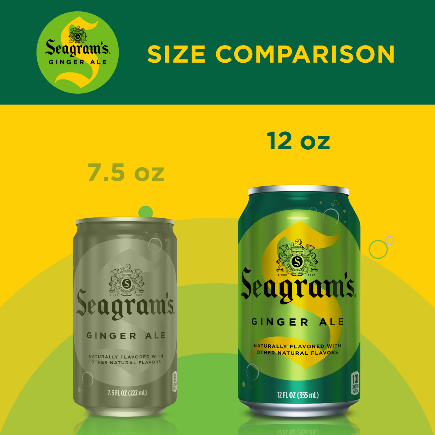slide 2 of 8, Seagram's Ginger Ale, 12 ct; 12 fl oz