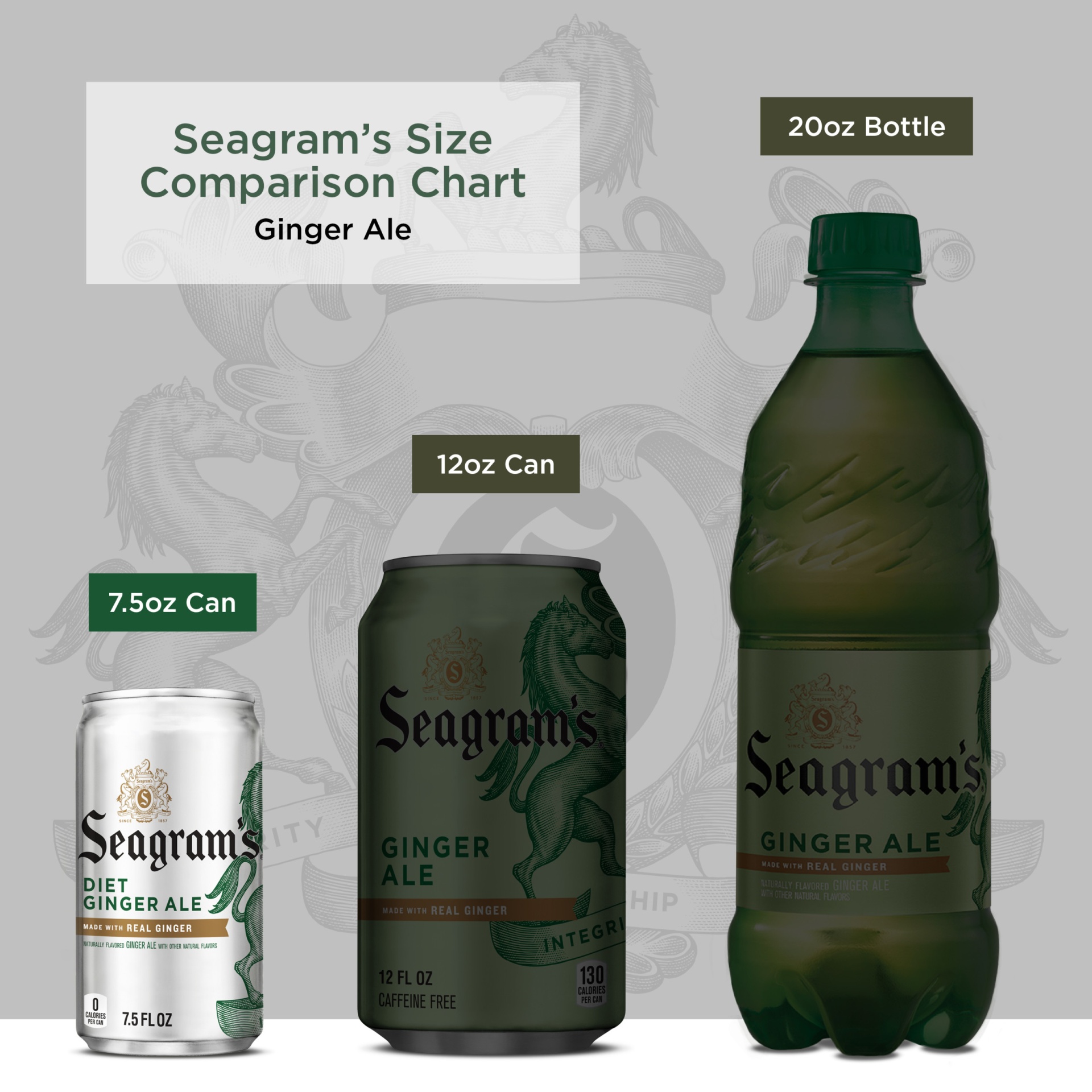 slide 3 of 12, Seagram's Zero Sugar Ginger Ale Cans, 7.5 fl oz, 6 Pack, 6 ct; 7.5 oz