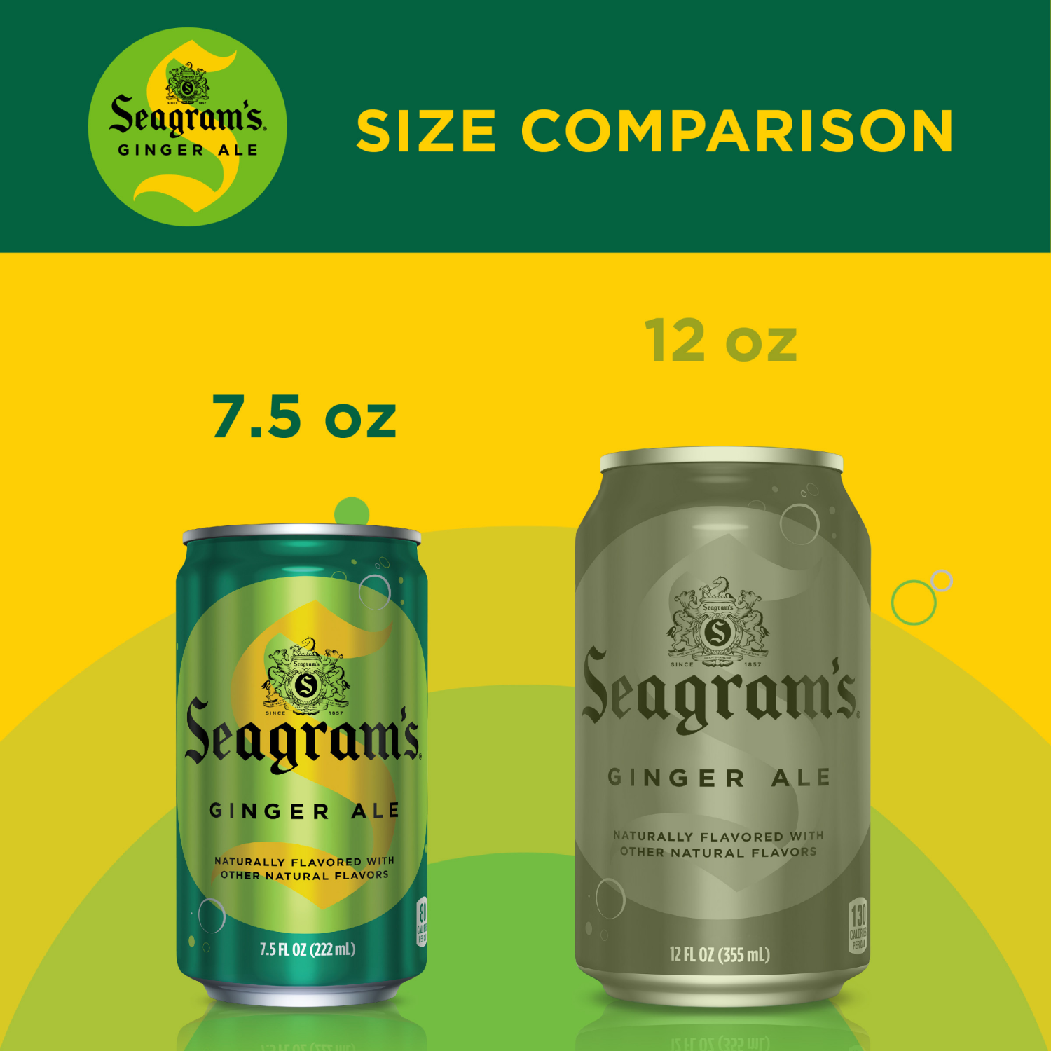 slide 7 of 7, Seagram's Seagrams Ginger Ale Fridge Pack Cans, 7.5 fl oz, 10 Pack, 10 ct; 7.5 fl oz