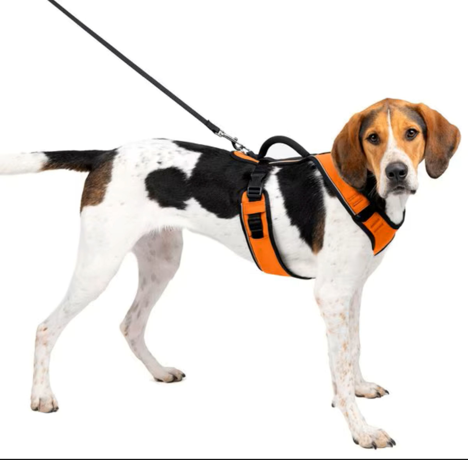 slide 1 of 1, EasySport Harness Medium Orange, MED