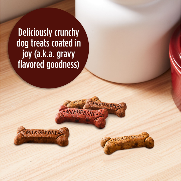 slide 22 of 22, Milk-Bone Biscuits Gravy Bones with Beef, Chicken, Liver and Bacon Flavors Dog Treats - 19oz, 19 oz